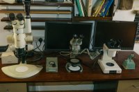 Some lower to medium power microscopes