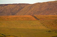 View across fields to open moorland